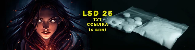 2c-b Надым